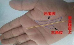 凤眼纹手相的人非常浪漫,这些人也同样如此