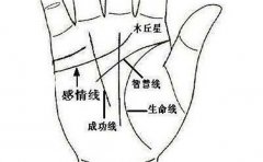 漏财手相有这些，都比较常见，有的人还真不少