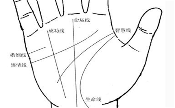 手掌纹