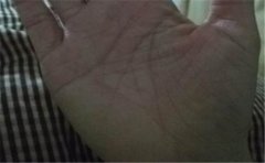 根据掌丘特点选职业 适合你的才是最好的