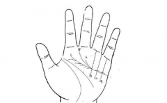 小拇指手相分析个人，特征多代表的含义也多