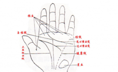 男人方形手专情 绝对不会有第二个女人