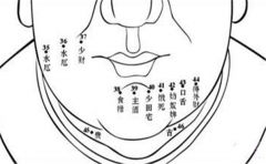 胸口痣相特征分析