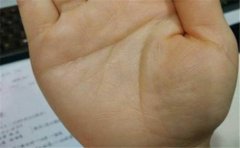 女人智慧线不同特点分析 越靠近手掌下方越虚荣