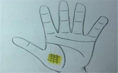 生命线和命运线的区别