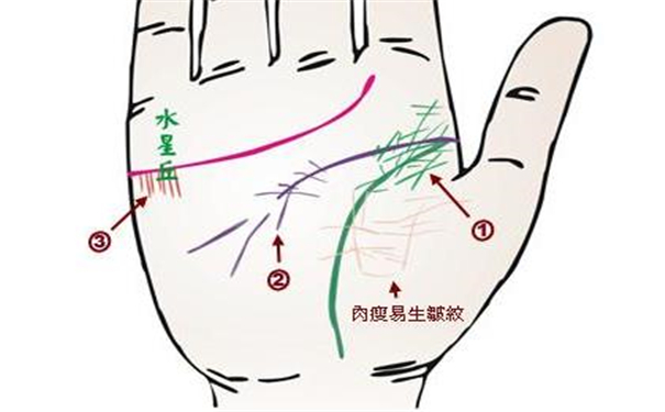 心葬不好的人手纹