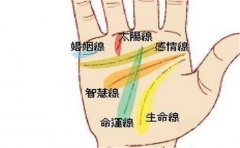 从感情线看对待感情的态度，个人都有个人的特