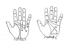 事业线和生命线相交的手相分析，一起来看看