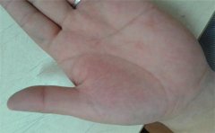 富贵手相图解大全，揭秘天生好命的之人的特征