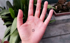 手相的命运分析---生命线