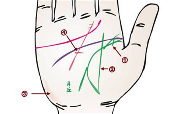 通过手相看病