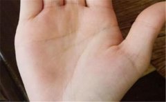 有官运手相的人更容易当官，仕途一片光明