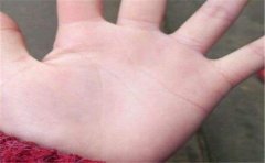 女人手相图解，容易离婚的女人手相特征总结