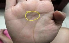 除了手相有口之外，这些特征的人一样有好财运