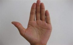 手相婚姻线数量看爱情观，有些东西是隐藏不了