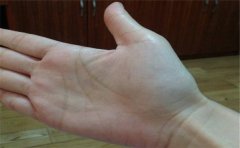 田字纹手相解读，看完之后真羡慕这种手相之人