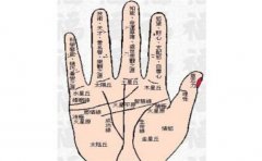 女性手相：这些特征的女人会把日子越过越好