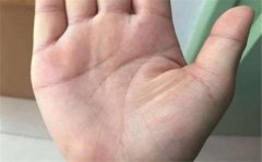 从生命线特征看情况,不要错过很好的学习机会