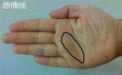 大拇指有凤眼纹的人有好运,具体体现在这些方