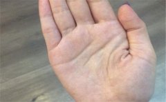 右手两条生命线出现在女人手相上寓意分析