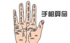 代表有钱花的手相,一辈子不缺钱