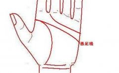 有这种帝王手相，一辈子享福的人