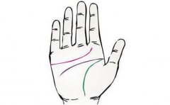 拥有帝王手相的人，一世顺风顺水