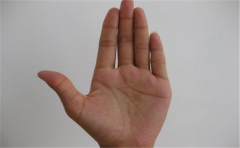 手相感情线短的人特征很多，但感情运势不佳