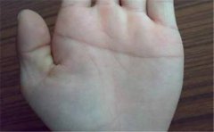 分析有财运的手相有哪些特征