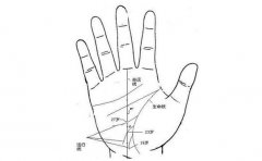 男性手相解读哪些手相桃花运比较旺