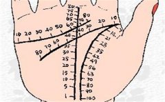 一起来看看三豹纹手相好不好