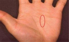 命苦手相有这些