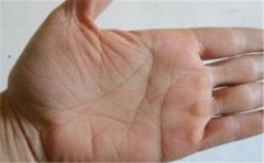 感情线特征看经历和运势，真的很准，不看可惜