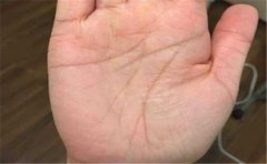 花心的手相，以感情线为例对此进行分析