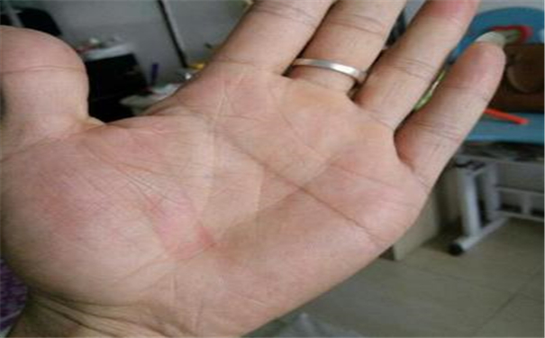手相学大全