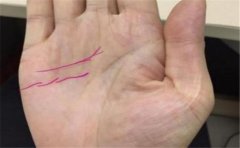 不知道你是否听说过手相鸳鸯纹，没有的话赶紧