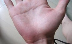 几种常见的劳碌的手相