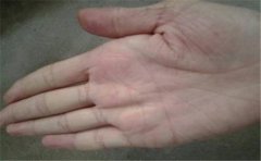 手相有肉的人很有福气，具体体现在不同的手相