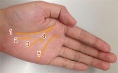 无名指手相特征看感情和婚姻运势，赶紧了解一