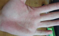 马云手相，何为富贵手相