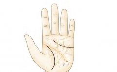 看看男人手指短有何寓意，是否是一个好手相