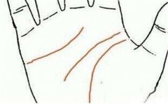 智慧线末端分叉都有这些寓意,真是长见识了