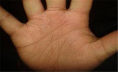 手腕线掌纹分析运势，这些特征都非常重要