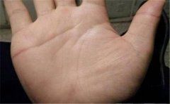 全面解析手相成功线，大家想要了解的这里都有