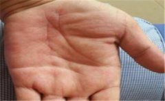 手相看五指也能够看出很多的信息，一起来了解