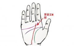 羽毛状感情线不多见，原来这种手相寓意这么多