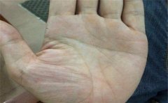 讲解看断掌手相怎么看运势