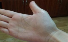 看看手相聪明有什么特征