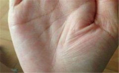 关于手相纵欲线，这些最好了解一下，很有帮助