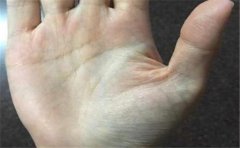 <b>图解手相大全分析哪些手相的人会非常努力</b>